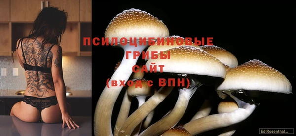 экстази Армянск